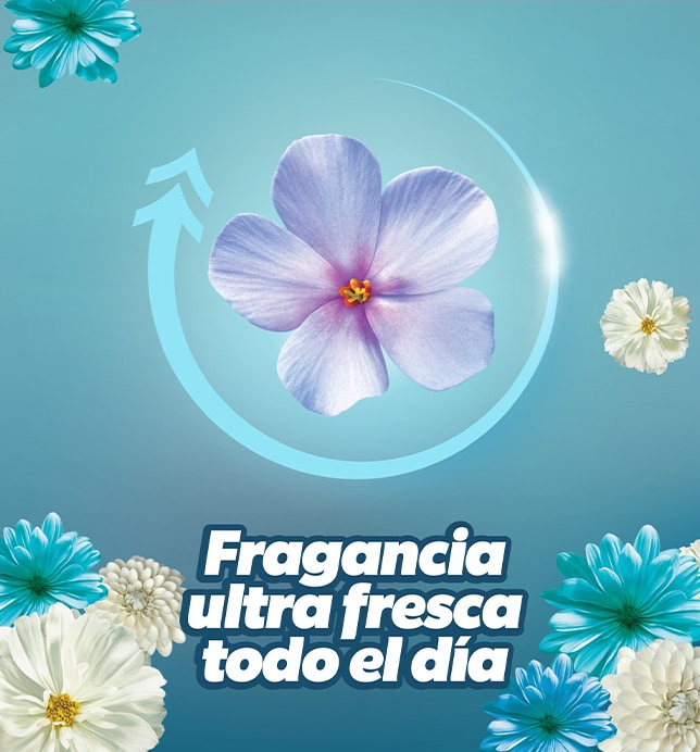Su deliciosa fragancia se extiende durante todo el día 
