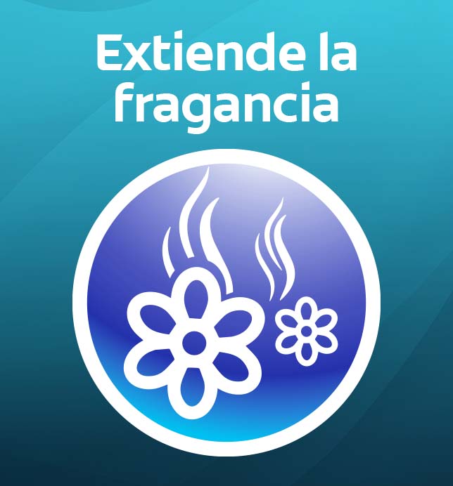 Su deliciosa fragancia se extiende durante todo el día 