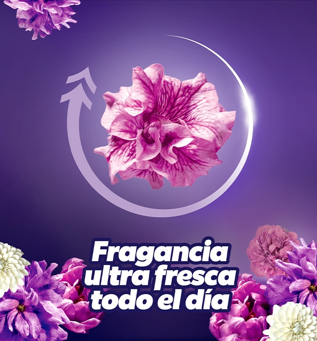 Su deliciosa fragancia se extiende durante todo el día 
