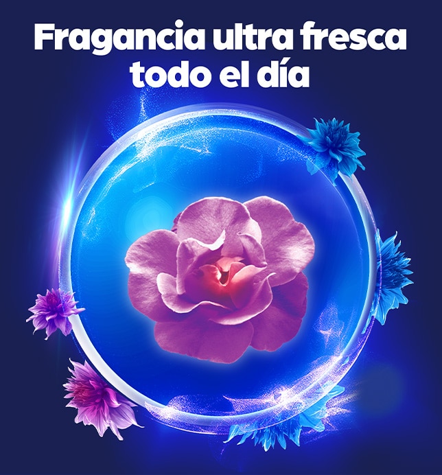 fresca primavera beneficios 01