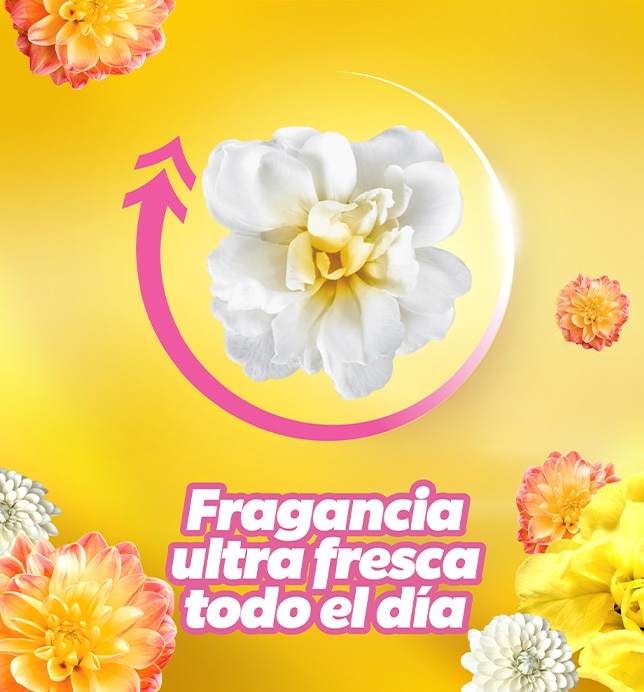 Su deliciosa fragancia se extiende durante todo el día 