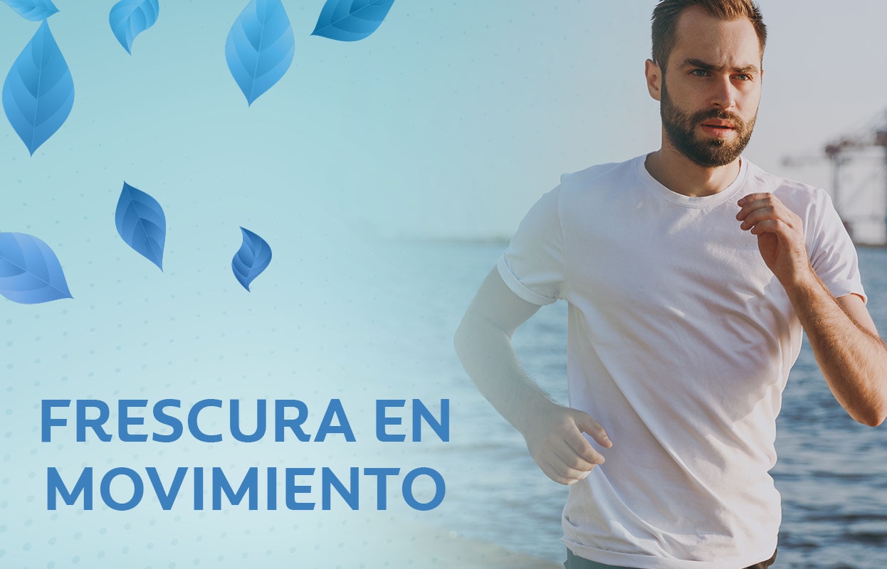 Mantén tu casa libre de insectos y crea una capa protectora en todo el piso con su aceite de citronela